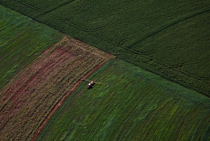 Paraná amplia produção agropecuária e reforça posição como “supermercado do mundo”