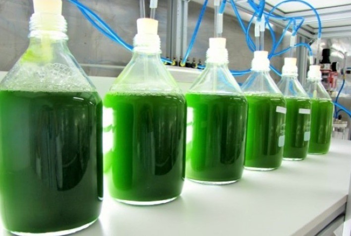 Alta dos fertilizantes impulsiona debate sobre bioinsumos no Brasil