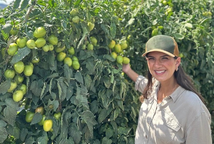 Tomaticultura no Brasil avança com tecnologia e maior participação feminina no campo