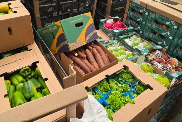 Exporta Mais Brasil Frutas reúne 17 compradores internacionais e amplia oportunidades de exportação