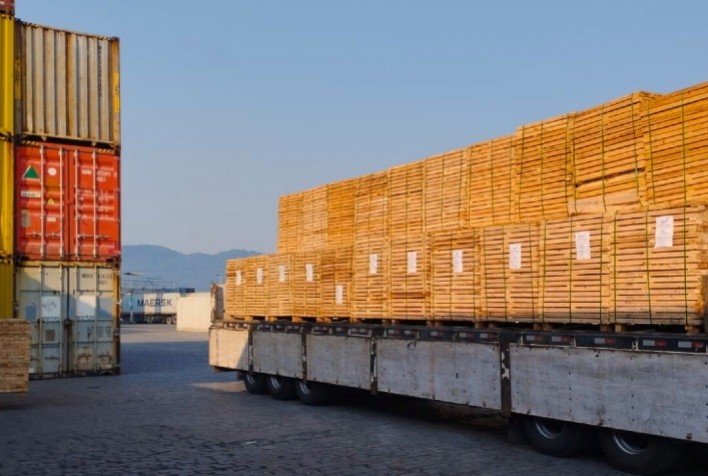 Cenário global desafia mercado de madeira e destaca protagonismo feminino no setor florestal