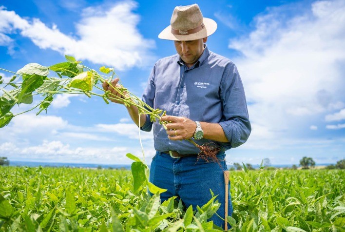 Manejo biológico na soja impulsiona produtividade da safrinha de milho com mais nitrogênio