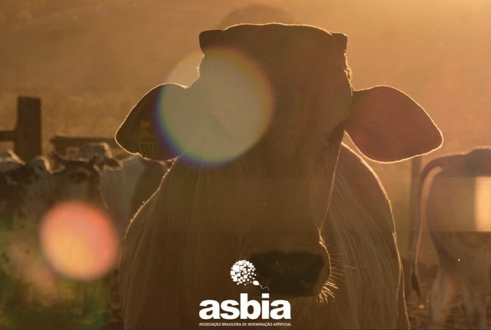 Anuário ASBIA 2026 destaca avanços da genética bovina e traz panorama completo do mercado de inseminação artificial