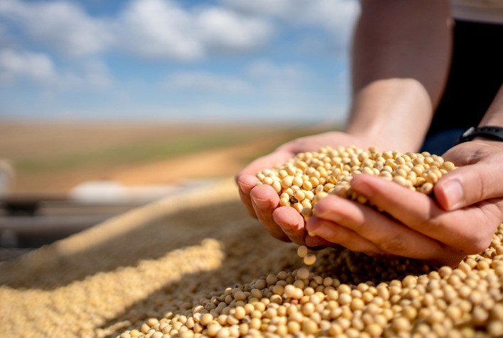 Soja Avança em Chicago com Alta do Óleo, Demanda Externa e Expectativas Globais