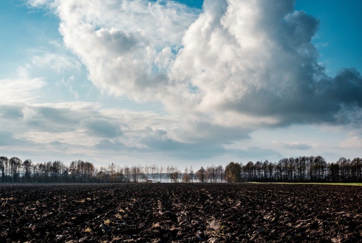Terras degradadas se tornam ativo bilionário e atraem investimentos no agro