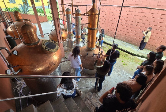 Turismo rural em Minas Gerais cresce e abre novas fontes de renda no campo