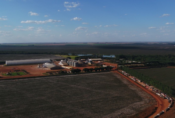 Fazenda Vale do Rio Verde adota agricultura regenerativa e se torna modelo de sustentabilidade no agro brasileiro