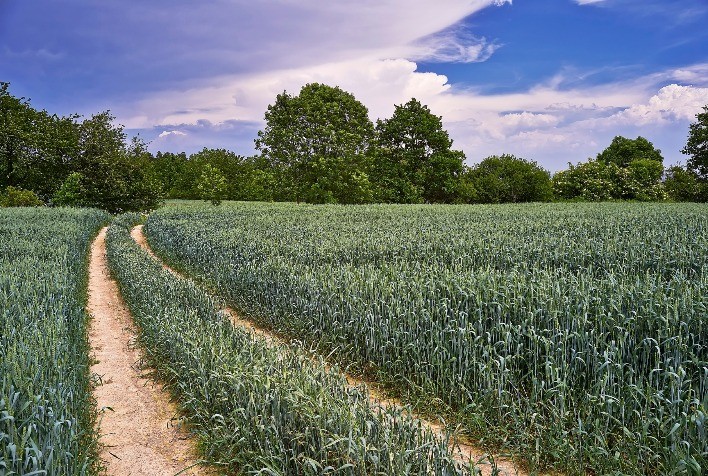 Agricultura de precisão acelera operações no campo e otimiza janela do milho safrinha