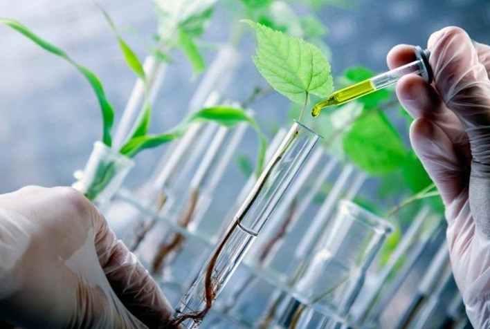 Mercado de bioinsumos cresce 15% e supera R$ 6,2 bilhões em 2025, com avanço recorde da área tratada