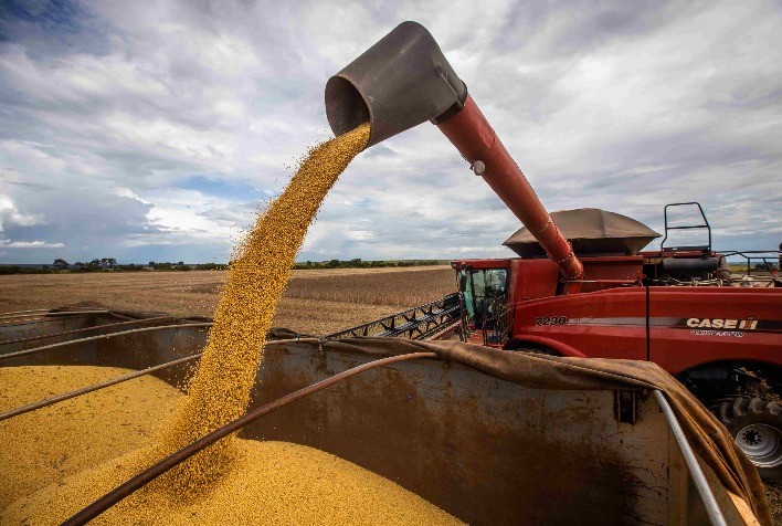 Soja oscila entre alta em Chicago e travamento no Brasil com pressão logística e cautela do mercado