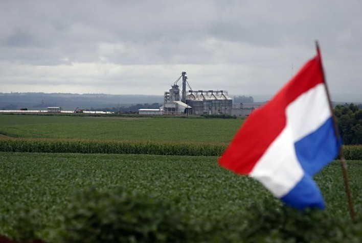 Paraguai registra safra histórica de soja e pode superar 12 milhões de toneladas em 2026