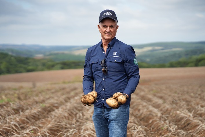Brasil colhe primeira safra de batata de baixo carbono com redução de até 40% nas emissões
