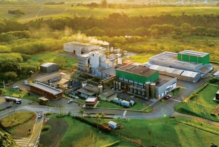 Nova levedura pode elevar receita de usinas de etanol de milho em até R$ 34 milhões por ano