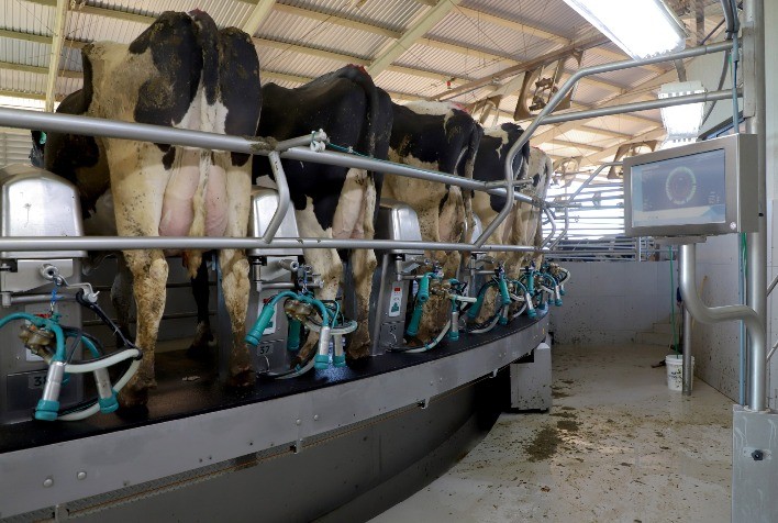 Leite deve ter alta ao produtor no Paraná, enquanto proteínas e lavouras mostram ajustes no campo