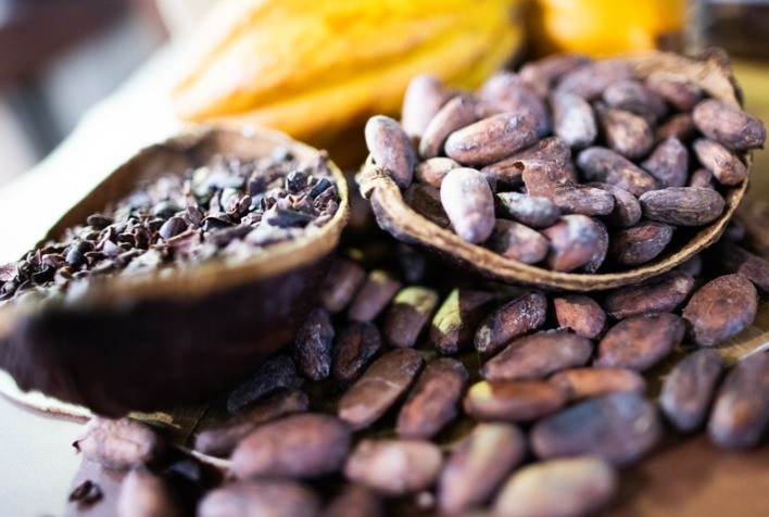 Senar lança cartilha sobre produção de chocolate e incentiva agregação de valor ao cacau