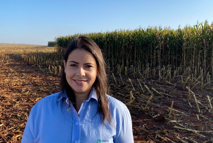 Fósforo se torna aliado estratégico na pecuária de corte e impulsiona produtividade no Brasil