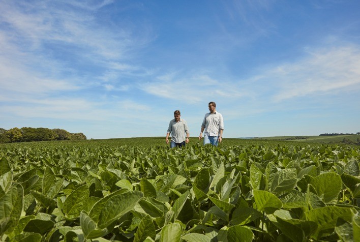 BASF conclui aquisição da AgBiTech e fortalece portfólio de controle biológico na agricultura
