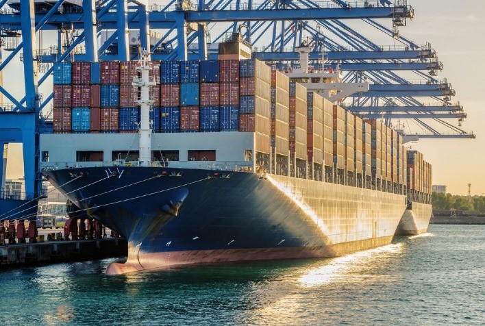 Agro paulista supera US$ 900 milhões em exportações para a Índia e amplia presença no mercado asiático