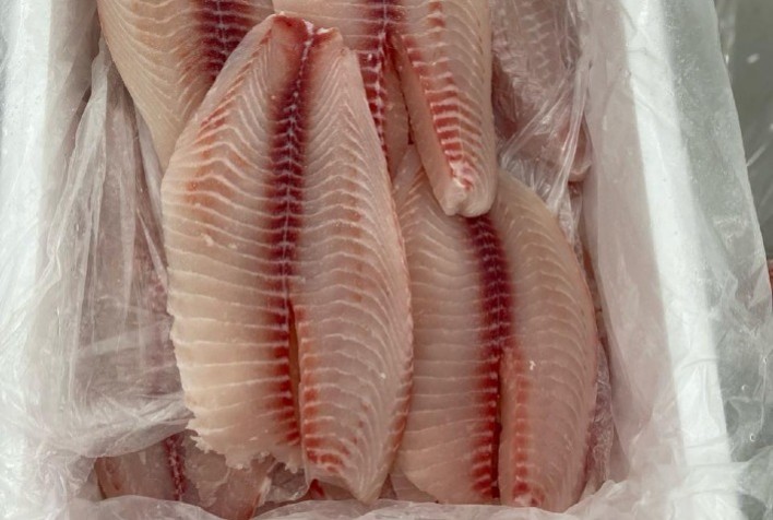 Importação inédita de tilápia em Minas Gerais acende alerta para competitividade do setor