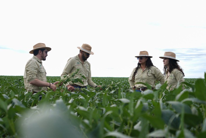 Safra de soja em Mato Grosso atinge recorde e supera desafios climáticos na temporada 2025/26