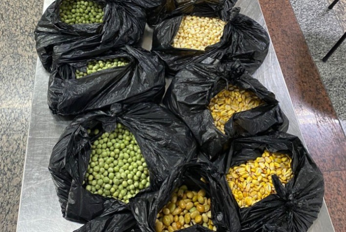 Vigiagro apreende mais de 3 toneladas de produtos irregulares em voos internacionais em Guarulhos