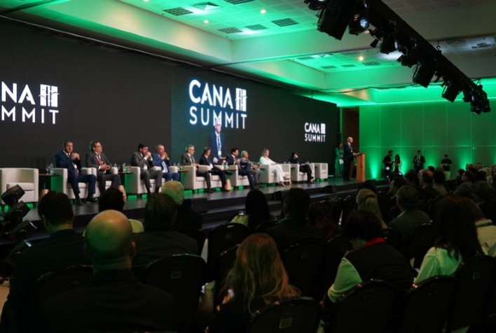 Juros altos e crédito restrito pressionam investimentos em cana-de-açúcar no Brasil