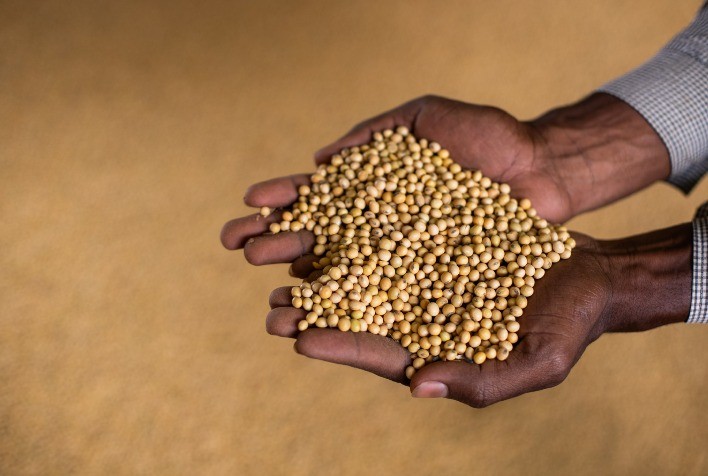 Soja recua no Brasil e em Chicago com pressão de oferta global e custos logísticos elevados
