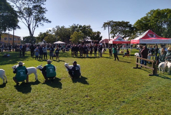 Fenovinos 38ª edição abre inscrições e será realizada em Esteio durante a Fenasul Expoleite