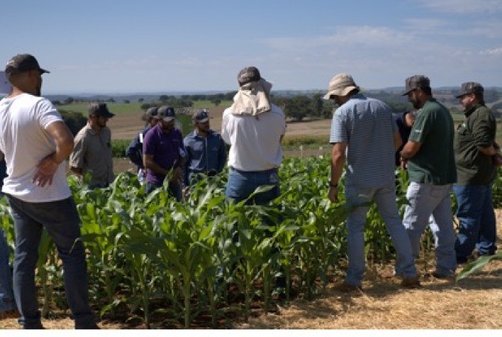 Campos de Treinamento da ADAMA reúnem mais de 2 mil profissionais e reforçam debate sobre manejo de pragas na soja
