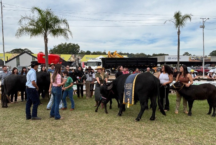 Fenasul Expoleite 2026 abre inscrições para búfalos e projeta crescimento da participação de criadores