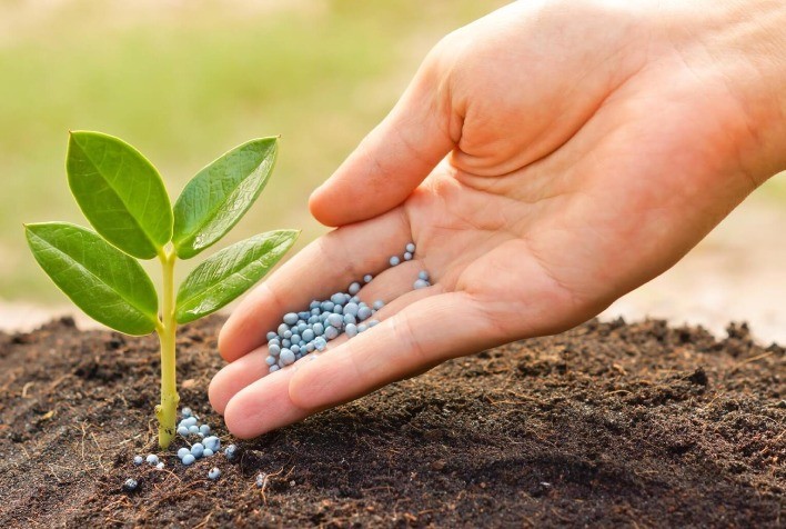 Dependência de fertilizantes importados expõe agro brasileiro a riscos geopolíticos e acelera debate sobre transição verde