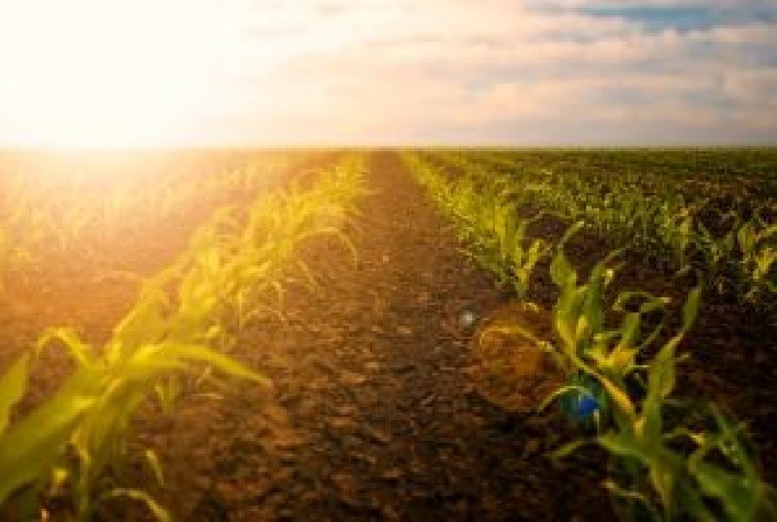 Ciclo Solar 25 intensifica interferências em sinais GNSS e exige novas estratégias na agricultura de precisão