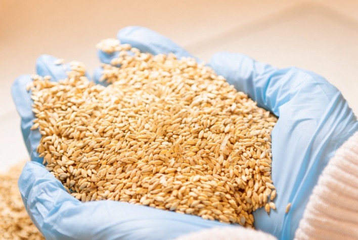 Planejamento forrageiro antecipado ganha força na pecuária diante da volatilidade do mercado