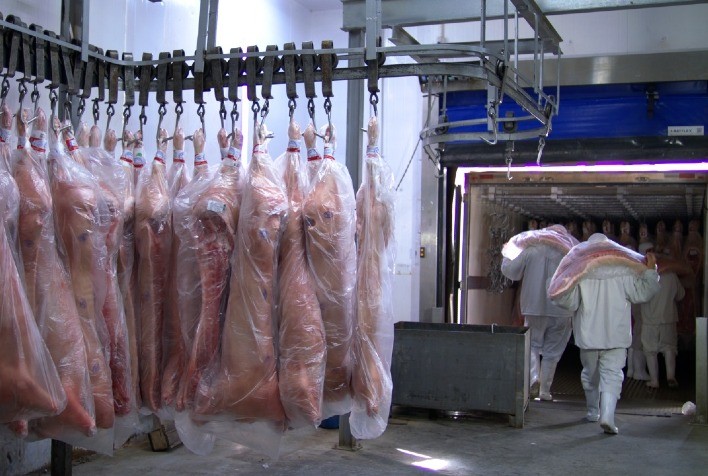 Exportações de carne suína do Paraná batem recorde para março e impulsionam desempenho do agro