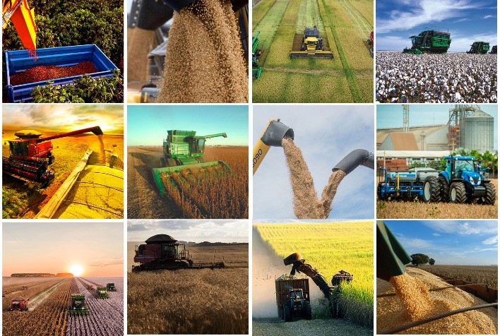 IGC reduz safra global de trigo e milho 2026/27 e acende alerta para oferta mundial de grãos