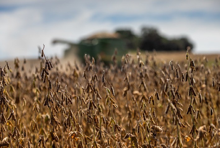 Custo de produção da soja em MT dispara 6,9% com impacto de conflito no Oriente Médio