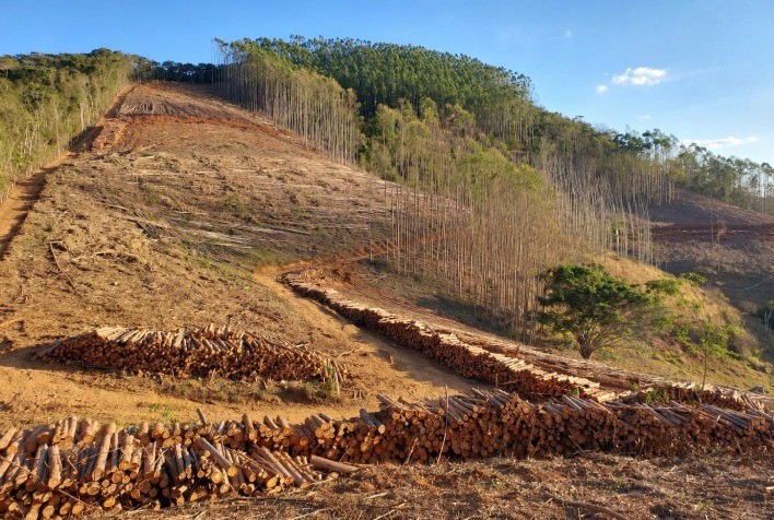 Colheita florestal em terrenos inclinados exige novas soluções técnicas e mais segurança operacional