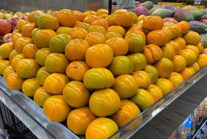 Safra de caqui no Paraná ganha força, movimenta R$ 18,2 milhões e impulsiona exportações da fruta