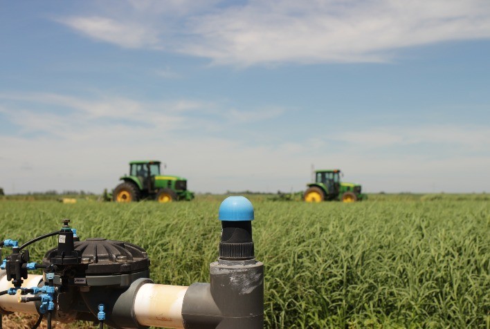 Produtividade no campo: 3 fatores essenciais que aumentam o rendimento e o lucro da lavoura