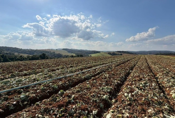 Crédito emergencial do Governo de SP libera R$ 5 milhões para produtores afetados por chuvas em Ibiúna e Piedade