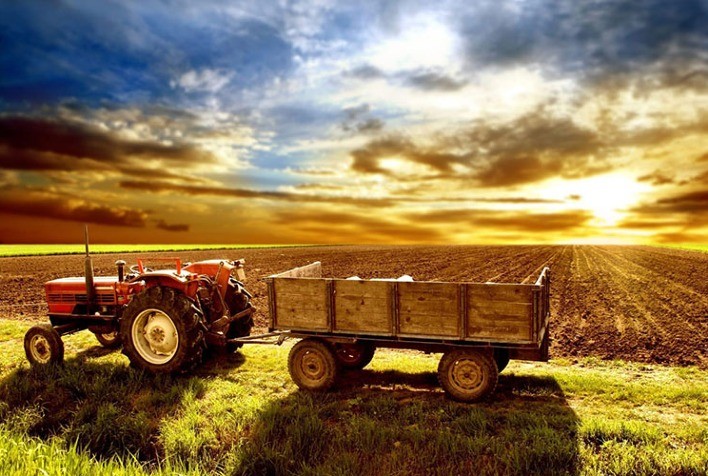 Plano Safra 2026/2027: CNA propõe crédito robusto, seguro rural fortalecido e orçamento previsível