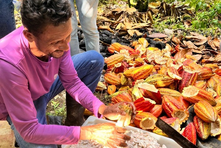 Plano Safra 2026/2027: crédito rural enfrenta barreiras e exclui até 40% da agricultura familiar