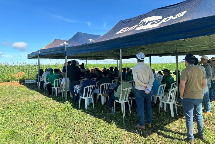 Dia de Campo em Paraíso do Tocantins destaca manejo de solo e estratégias para aumentar a produtividade da soja