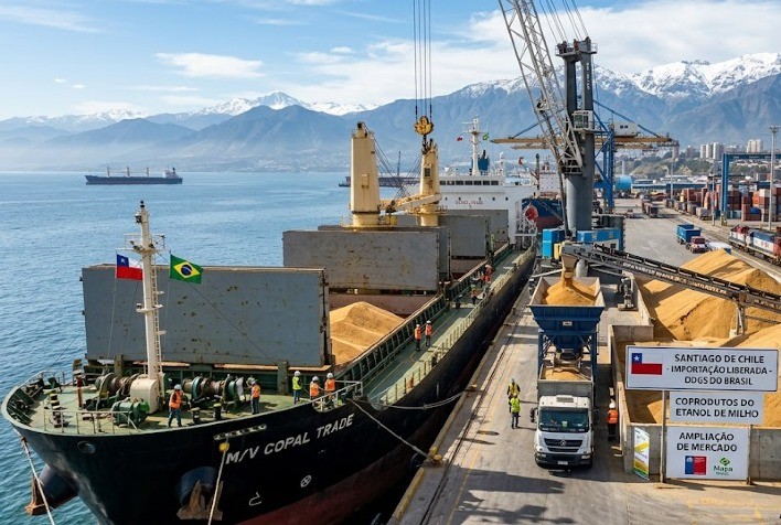 Chile libera importação de DDG e DDGS do Brasil e amplia mercado para coprodutos do etanol de milho