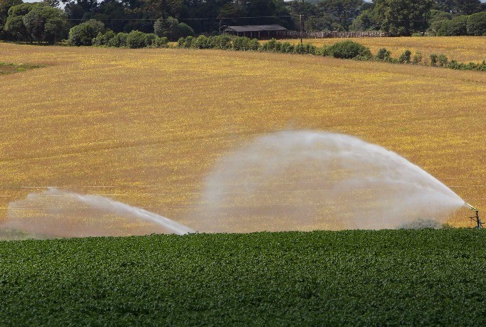 Paraná prorroga ICMS zero para insumos agropecuários até 2026 e reduz custos no campo