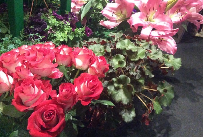 Dia das Mães impulsiona mercado de flores no Brasil e deve elevar vendas em 10% em 2026