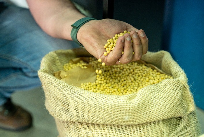 Bayer amplia lucro operacional no 1º trimestre com avanço da soja e força da divisão agrícola