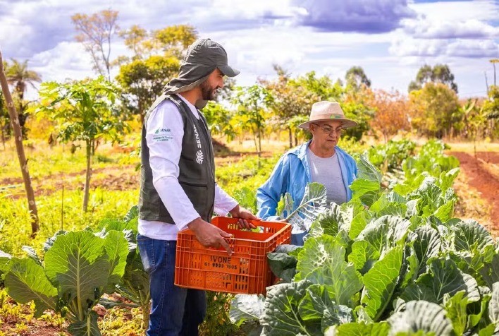 Faesp cobra ampliação das compras da agricultura familiar e propõe mudanças em programas públicos