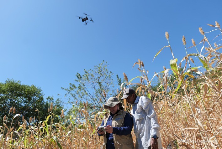El Niño ameaça segurança alimentar na América Latina e Caribe, alertam agências da ONU