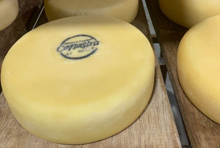 ExpoQueijo Brasil 2026 reúne centenas de produtores e reforça expansão internacional do maior concurso de queijos das Américas